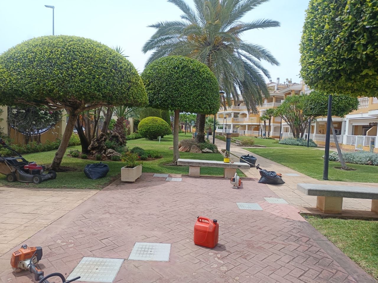 Mantenimiento de un jardín comunitario